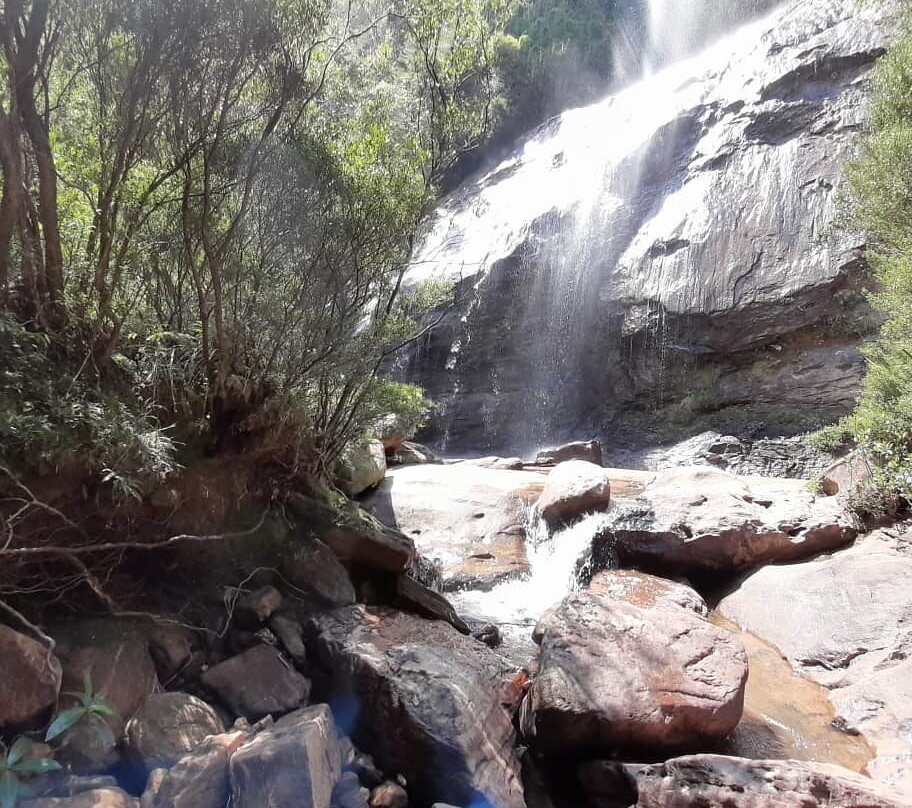 Floresta Estadual Uaimii-欧鲁普雷图必去景点