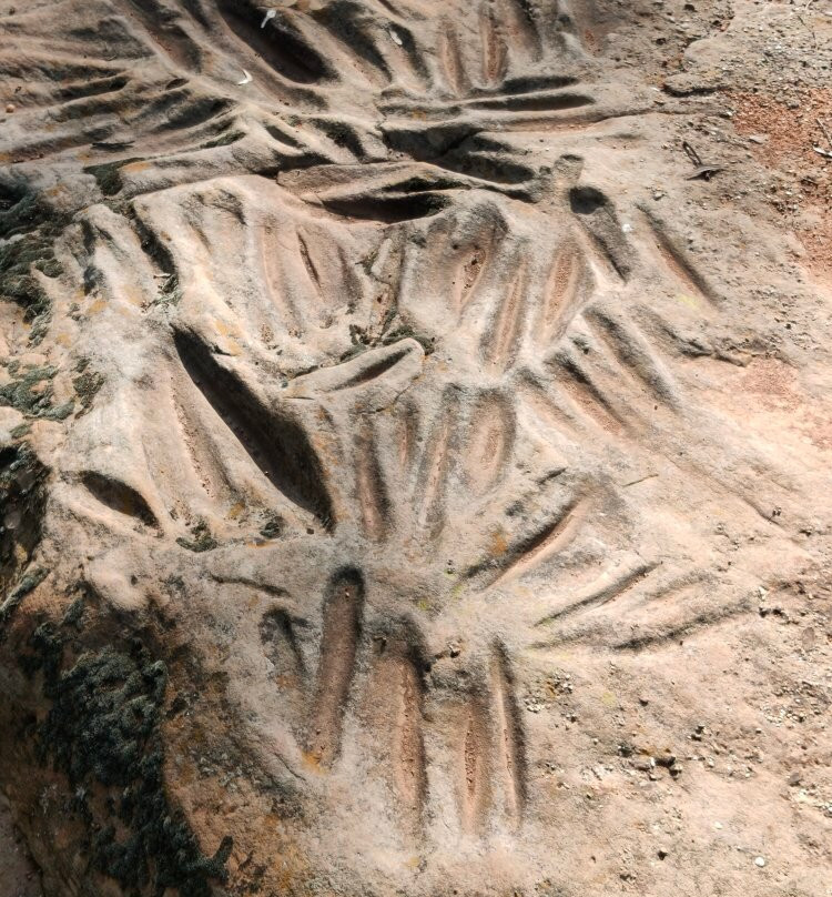 Terramungamine Reserve and Rock Grooves景点图片