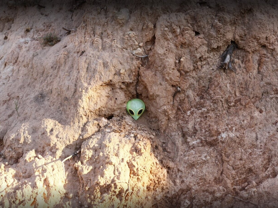 Ufo Alien Crash Communion Wall景点图片