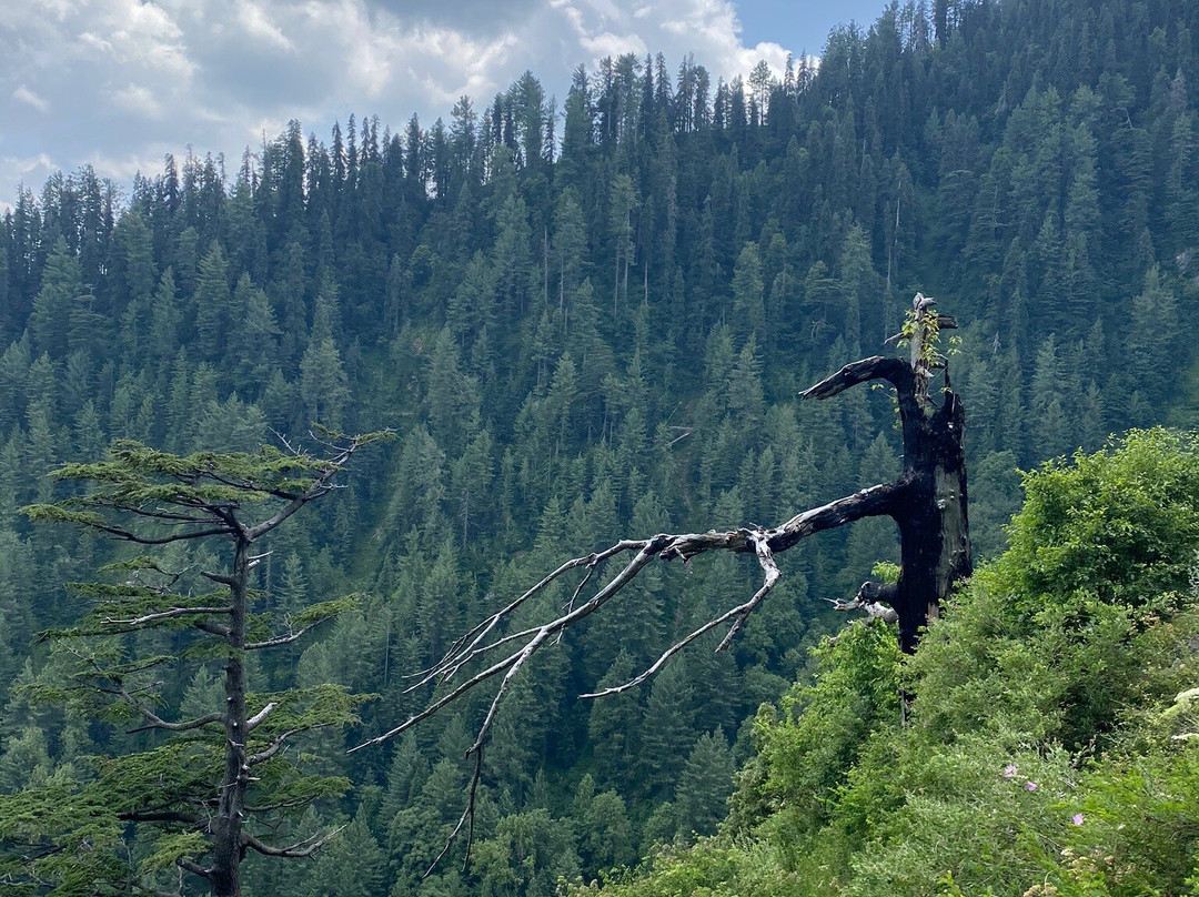 Dunga Gali Pipe Line Track-Nathia Gali必去景点