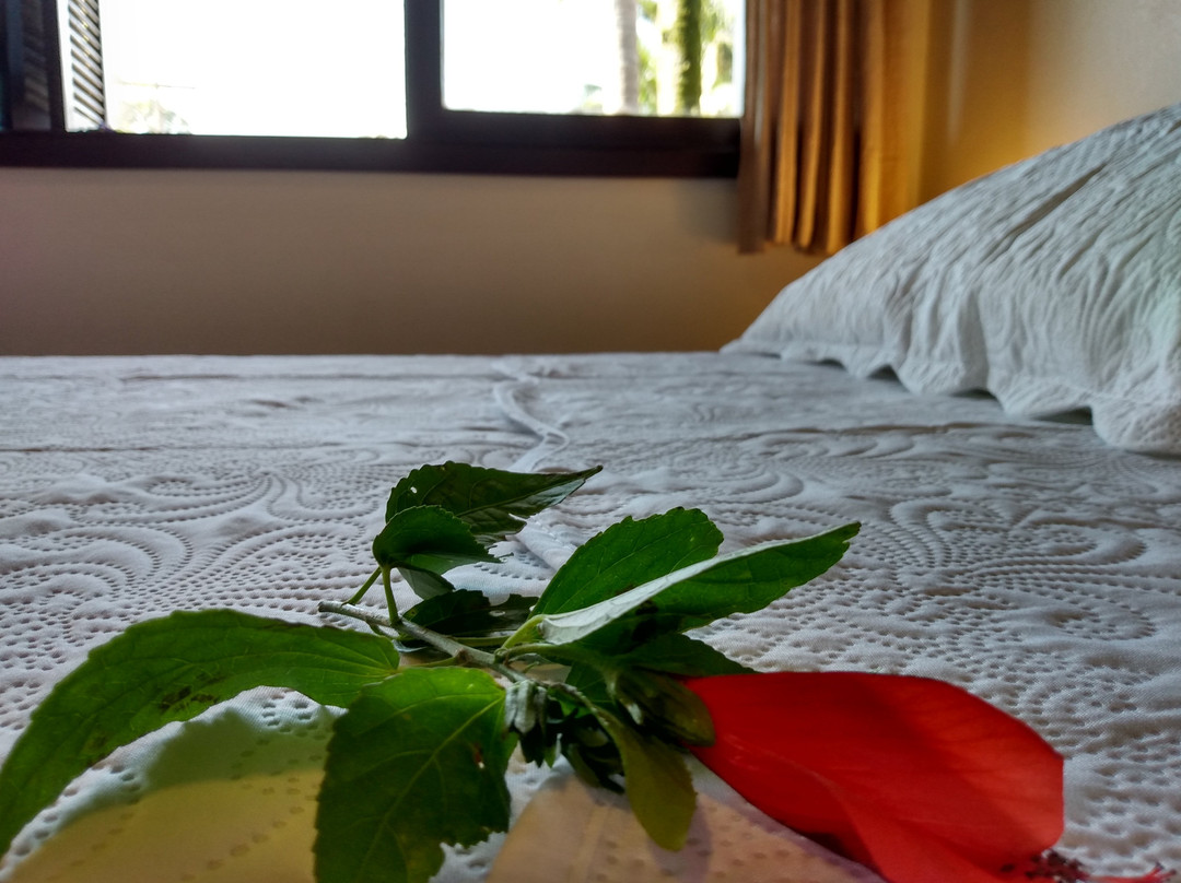 Pousada da Ferrugem主图