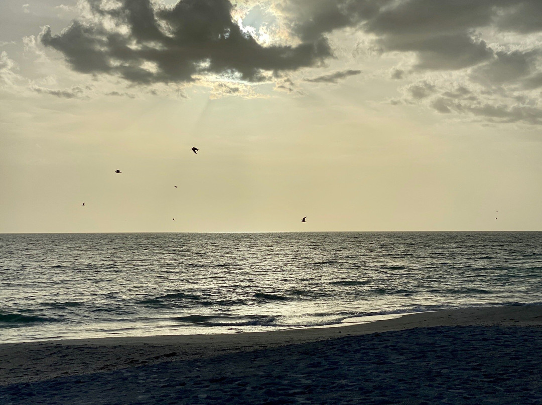Beach Shack Of Manasota Key