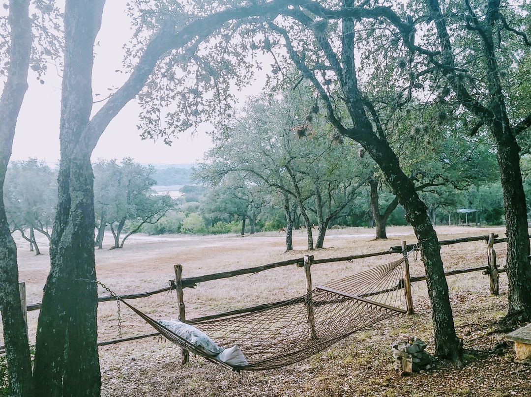 Chanticleer Log Cabin主图