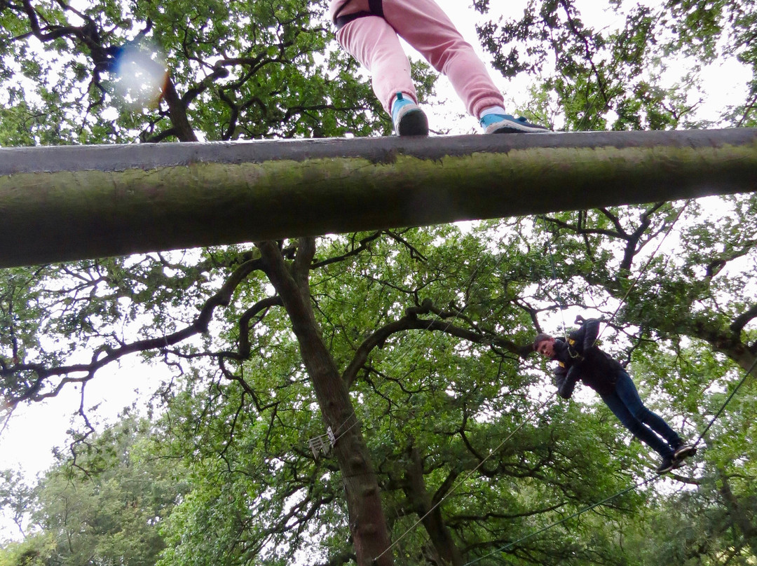 Trentham Treetop Adventures-Trentham必去景点