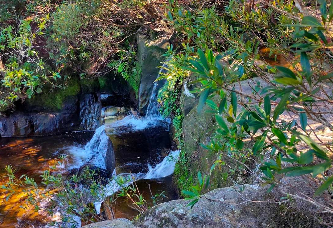 Kellys Falls Track-海伦斯堡必去景点