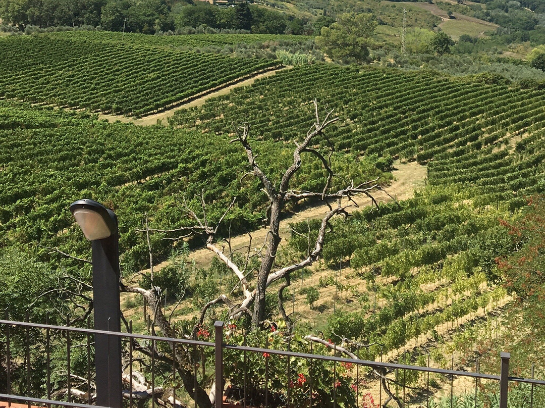 Lucardo旅游攻略图片