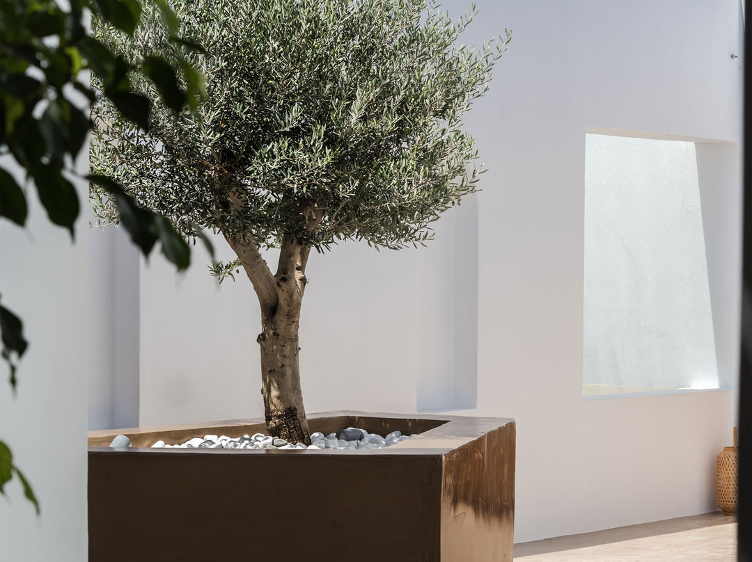 Evexia Spa-伊亚必去景点