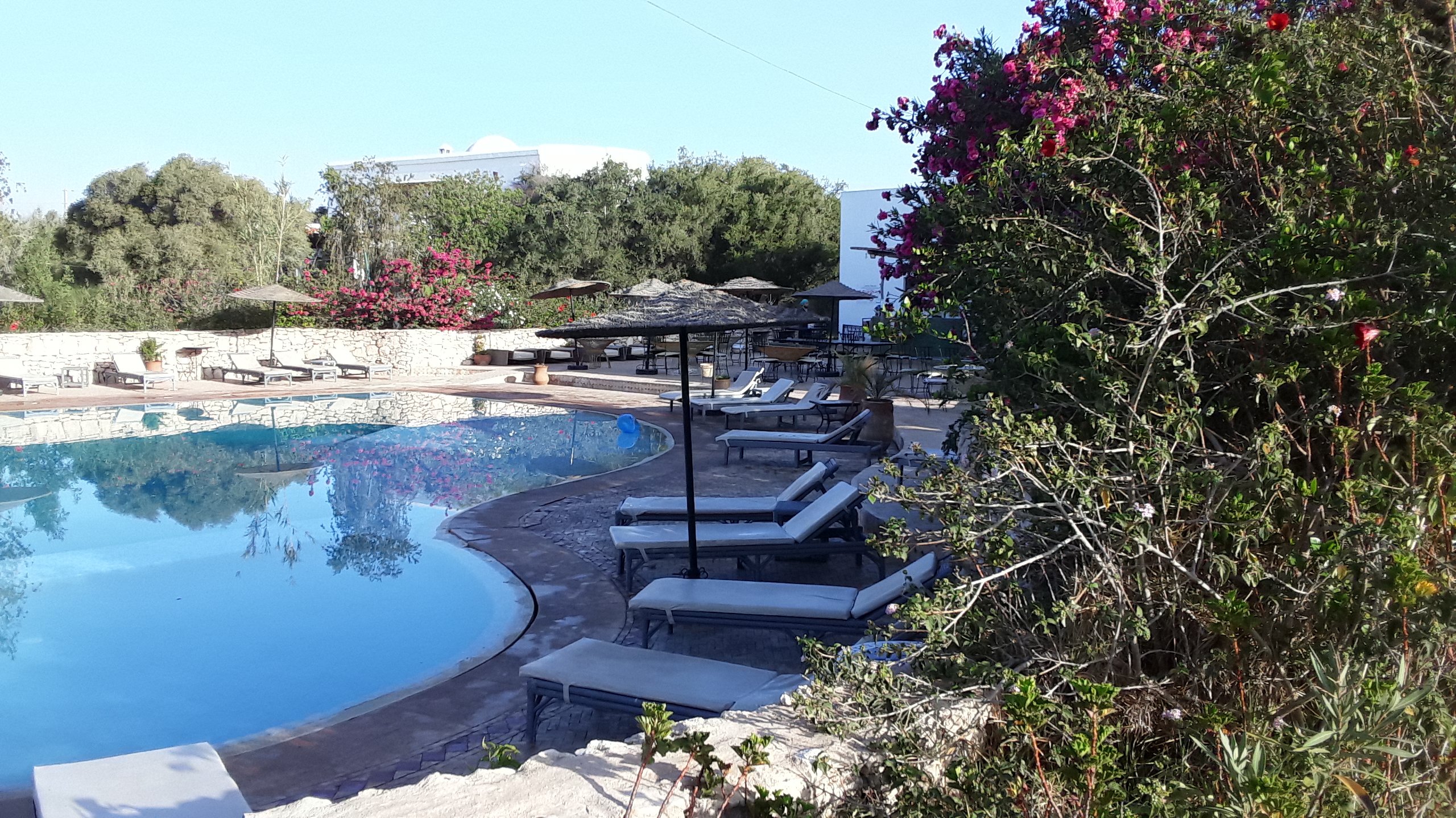 多美德拉格纳雷酒店-泳池