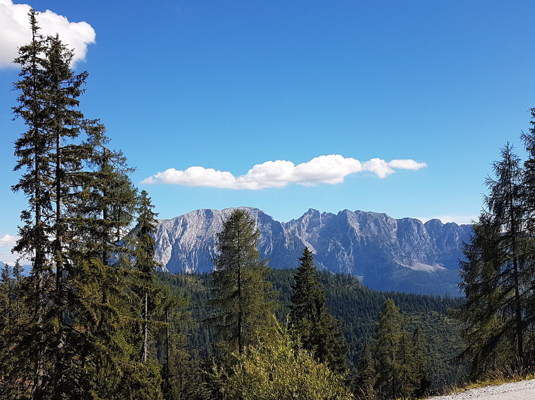 Hotel Schwaiger主图