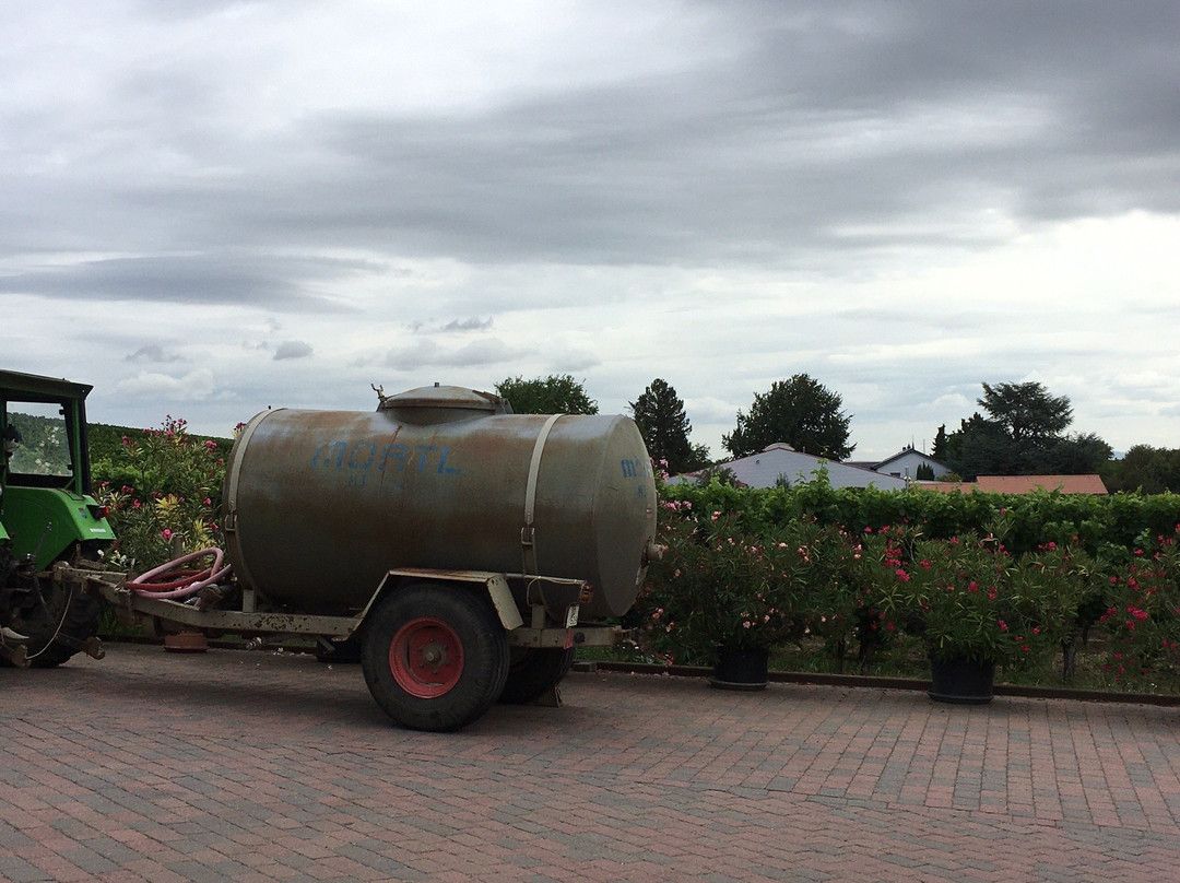 Weingut und Gästehaus Volker Schmitt主图