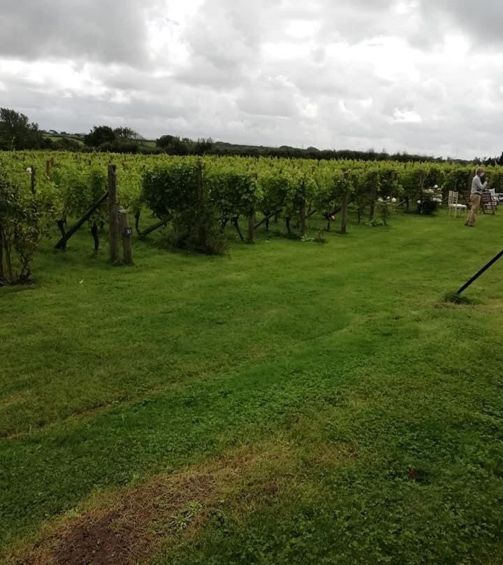 Glyndwr Vineyard主图