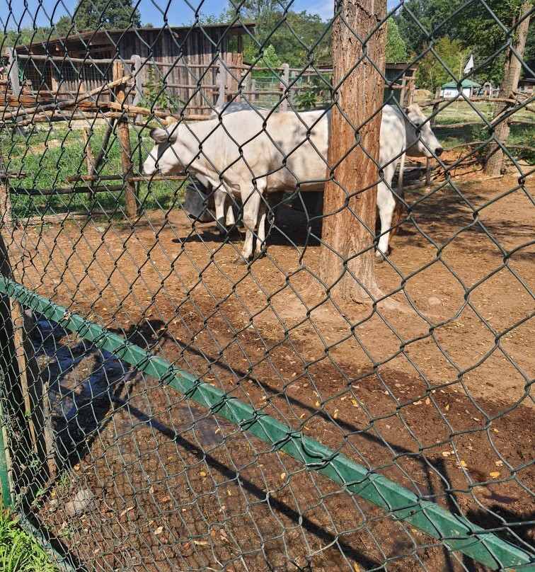 Agriturismo Campofelice主图