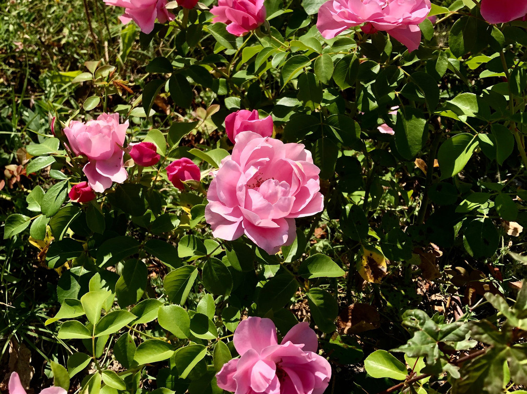 Country House La Torretta主图