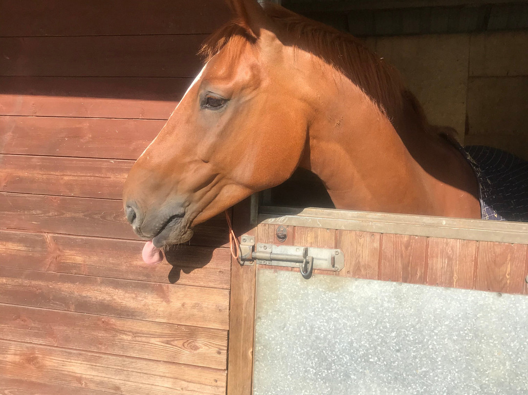 Ravencar Farm Bed & Breakfast主图