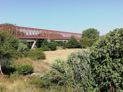 Ponte Rainha Dona Amelia