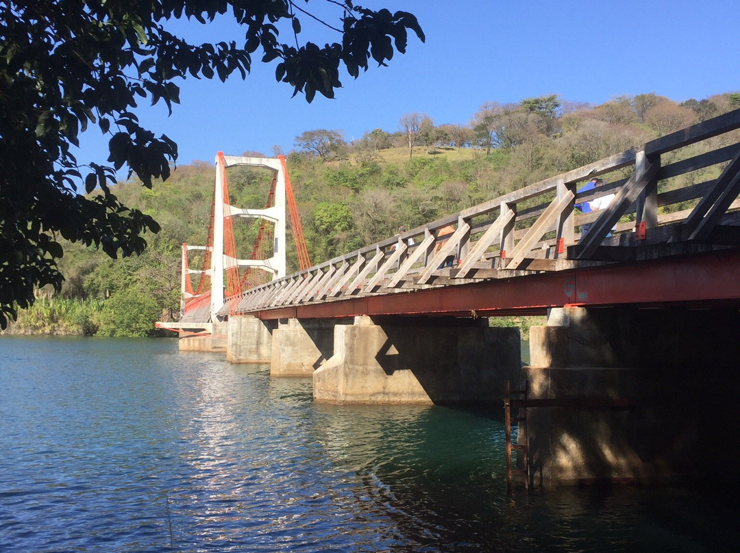 Alves de Lima Suspension Bridge景点图片