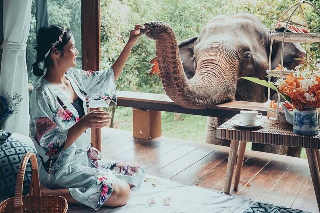 ForeverVacation Chiang Mai-清迈必去景点