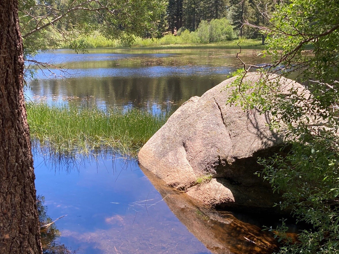 Bluff Lake Reserve-大熊湖必去景点