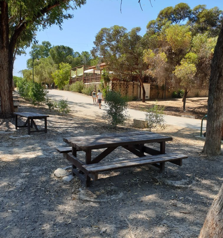 Athalassa National Park-尼科西亚必去景点