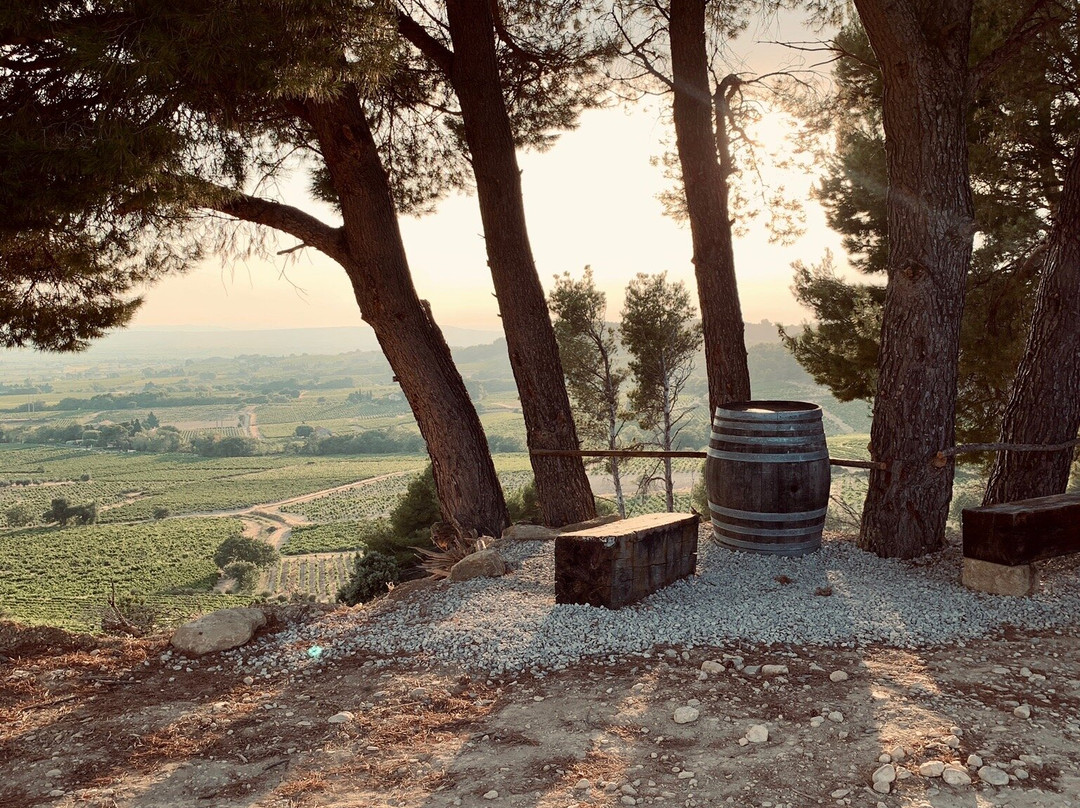 Domaine Beau Mistral景点图片