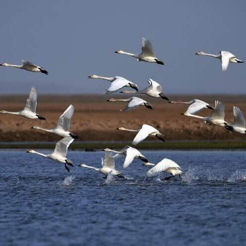 Kadalundi Bird Sanctuary-科泽科德必去景点