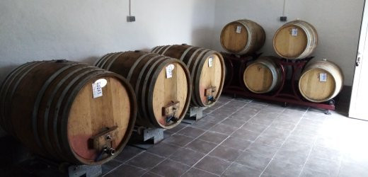 Matosin Winery-普莫斯特必去景点