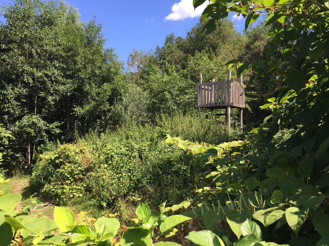 Toon Kortooms Park-Deurne必去景点