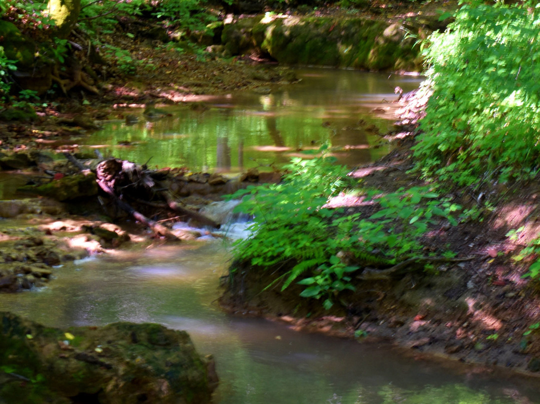 Falls Ridge Preserve-Elliston必去景点