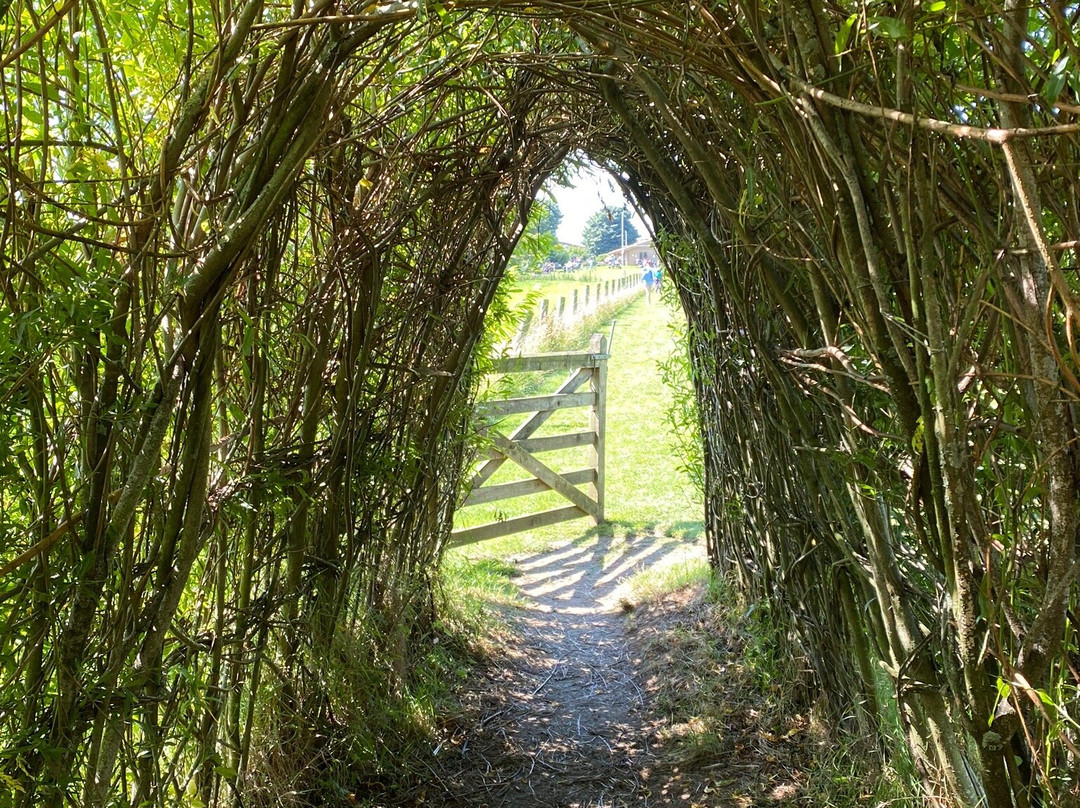 Broom House Farm Forest Adventure-Witton Gilbert必去景点