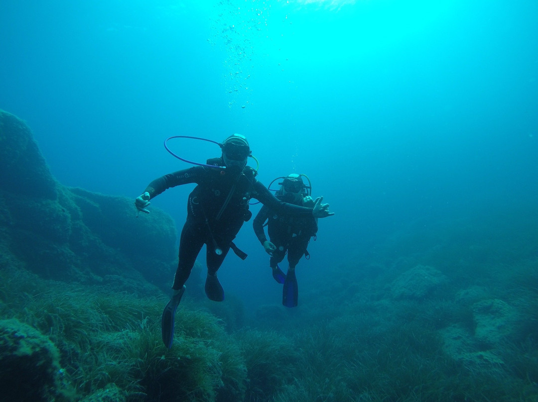 Bleu Marine Plongée景点图片