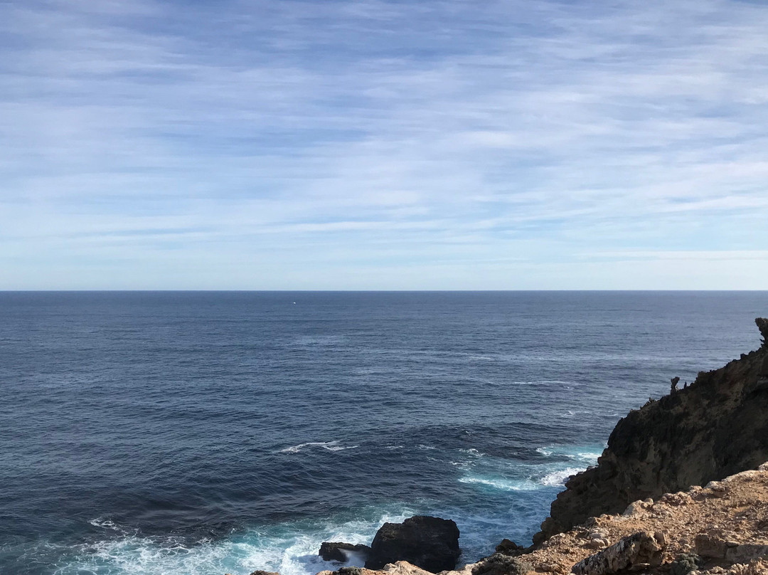 Cape Nelson State Park-波特兰必去景点