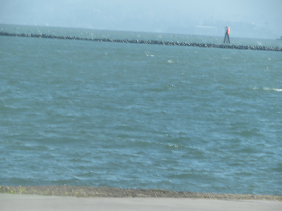 Miller Knox Regional Shoreline-列治文必去景点