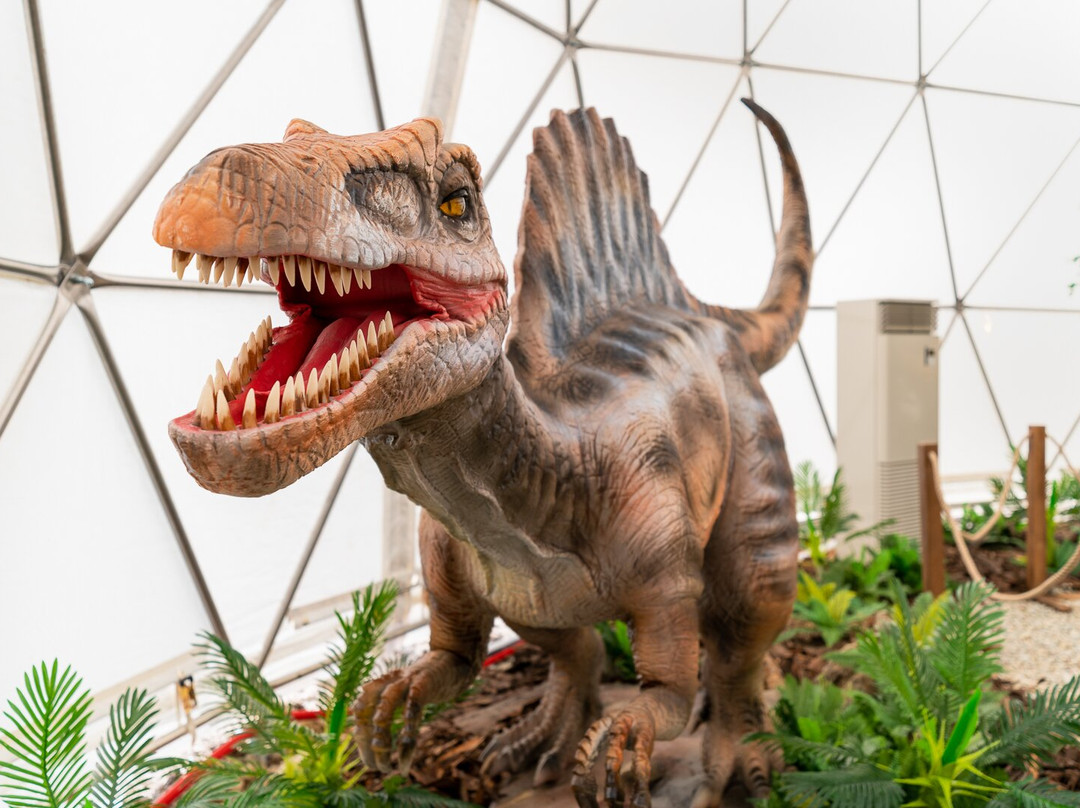 Dinopark Tatry-Dolny Smokovec必去景点