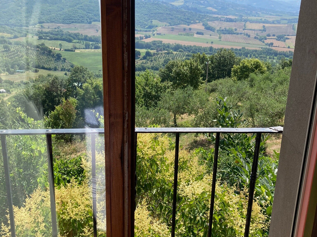 Il Borgo Sulla Collina B&B主图