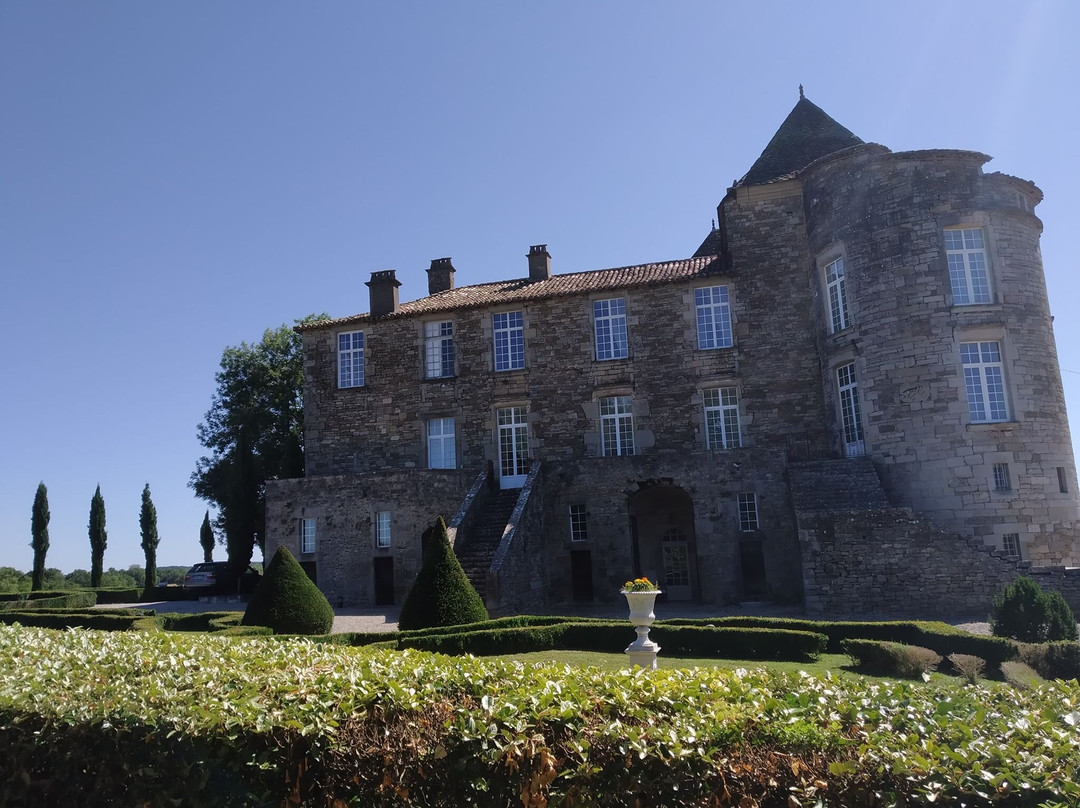 Chateau de la Reine Margot景点图片