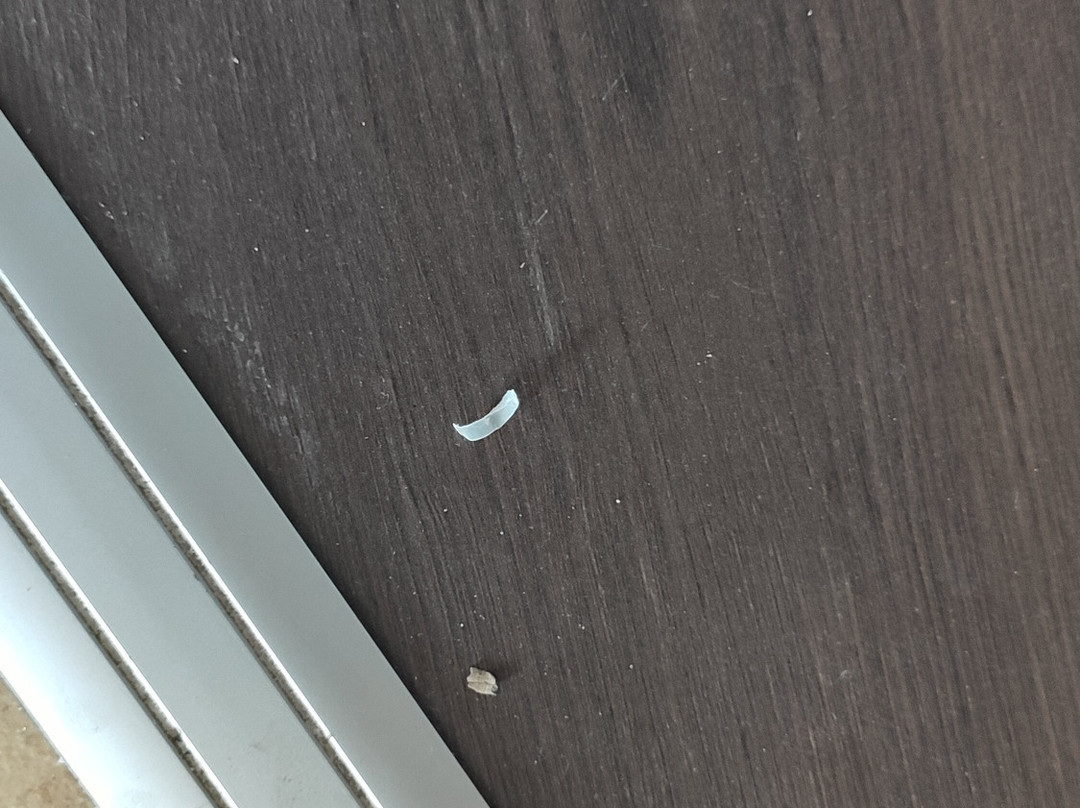 Szent Orban Erdei Hotel主图