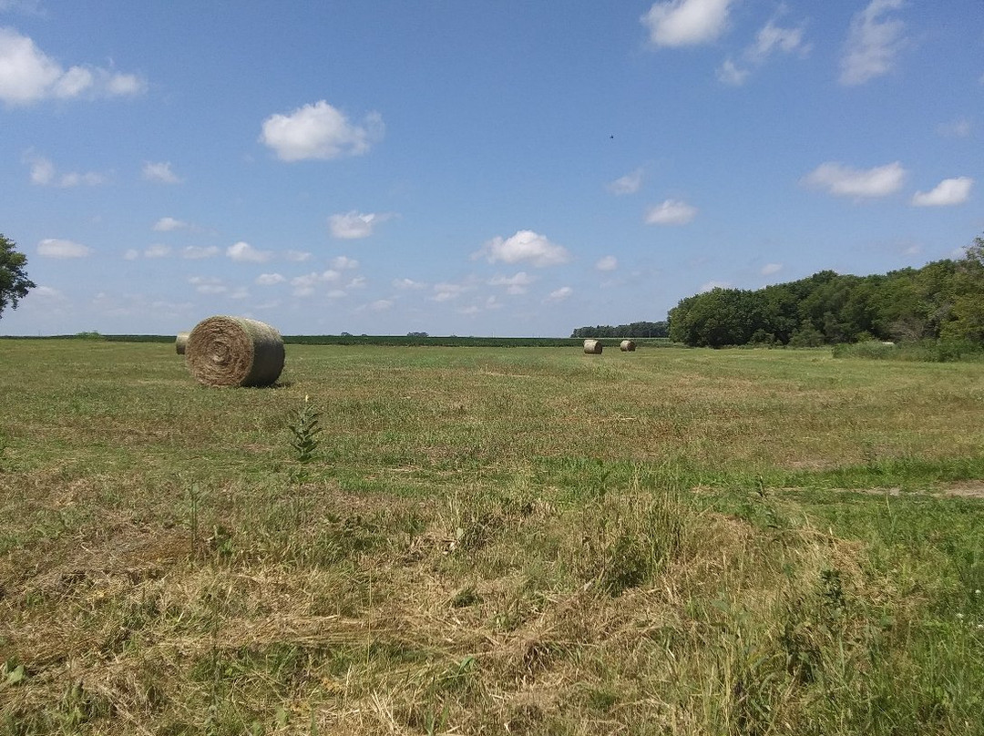 Plum Creek-Walnut Grove必去景点