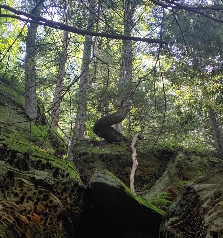 Hemlock Bridge Trail-洛根必去景点