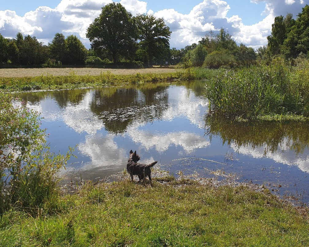 Zuna旅游攻略图片