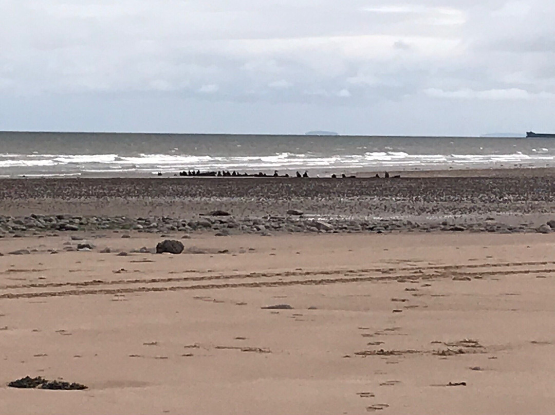 Dunster Beach景点图片