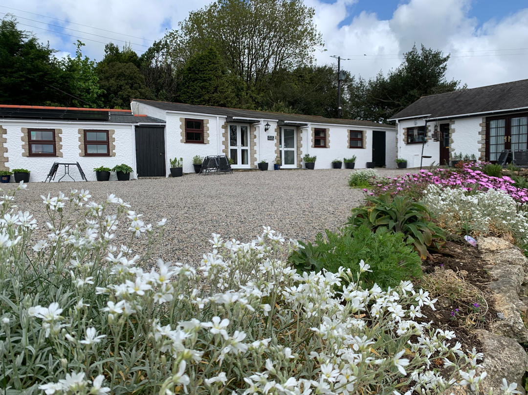 Tor View Cottage Holidays