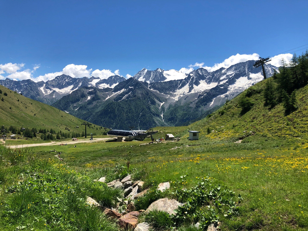 Alpine Marmot Village景点图片