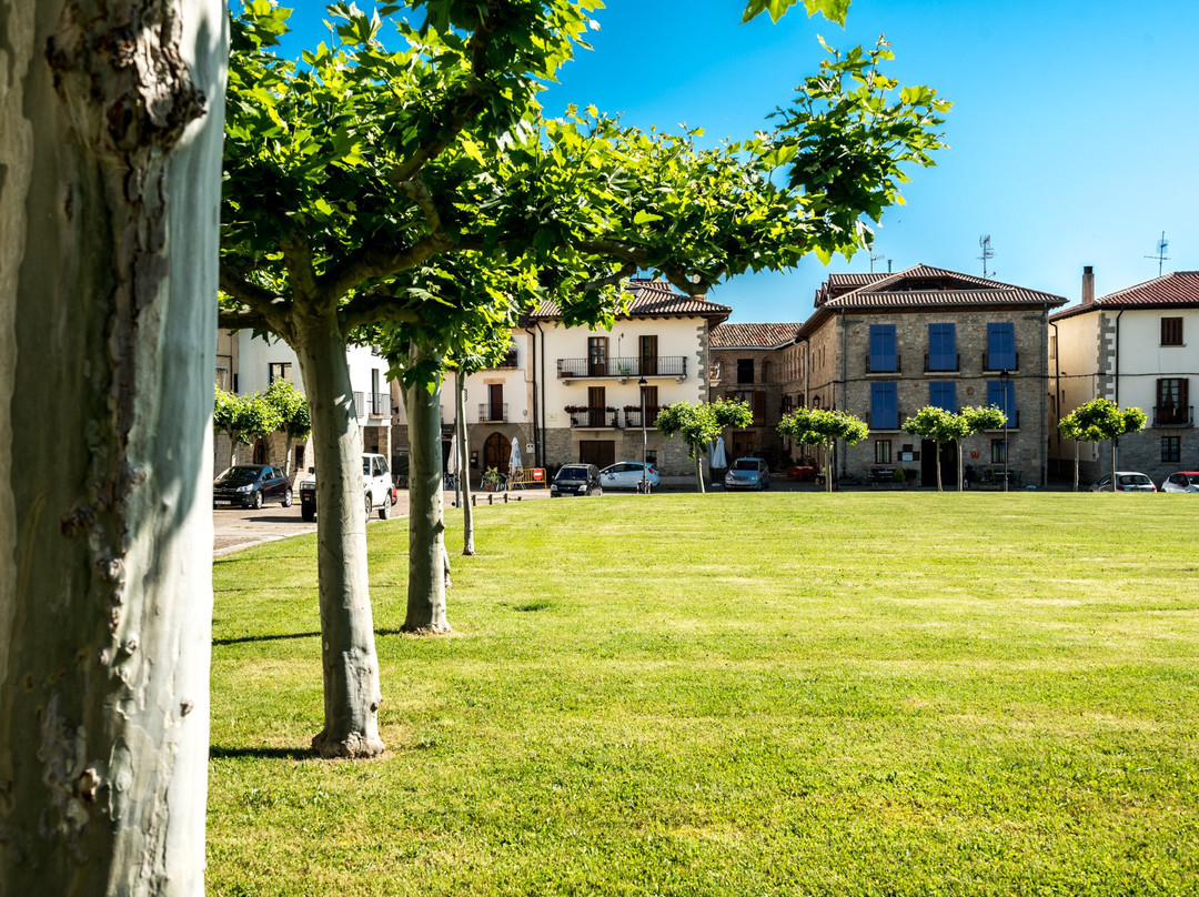 穆斯吉尔达乡村酒店主图