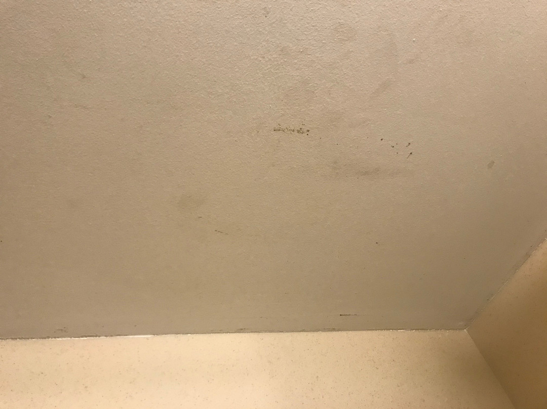 Comfort Inn & Suites Lookout Mountain主图