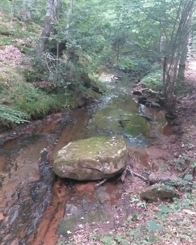 Monte Hijedo景点图片