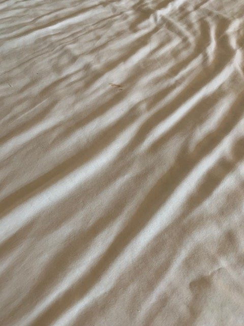 Sundown Motor Lodge主图