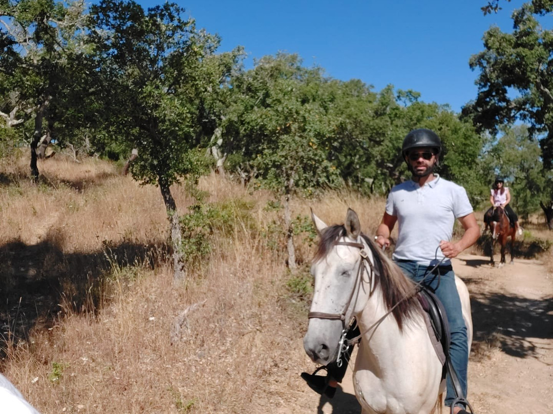 Passeios a Cavalo Melides景点图片