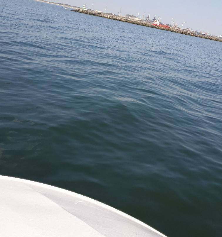 IJmuidense Rondvaart Maatschappij - Boat Tours-Ijmuiden必去景点