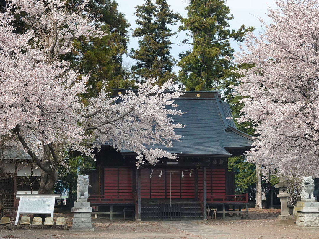Omori Shrine景点图片