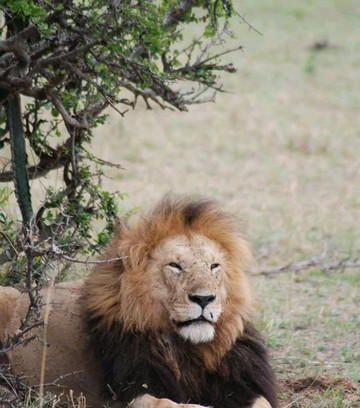 Elephant Rouge Safaris-瓦塔木必去景点